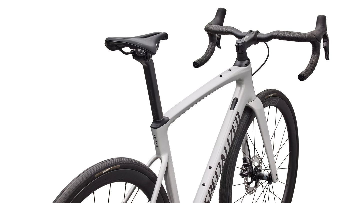 Roubaix Expert (2026)