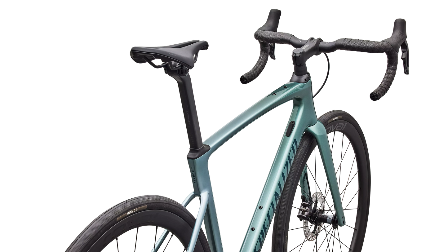 Roubaix Expert (2026)