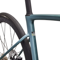 Specialized Roubaix Expert (2026) - Bicycle Warehouse