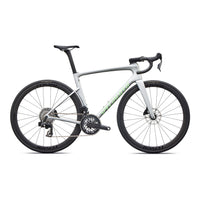 Silver road bike with black wheels, bar-end shifters, and green accent stripe