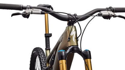 S-Works Turbo Levo 4 (2026)