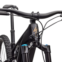 Specialized Turbo Levo R Expert (2026) - Bicycle Warehouse