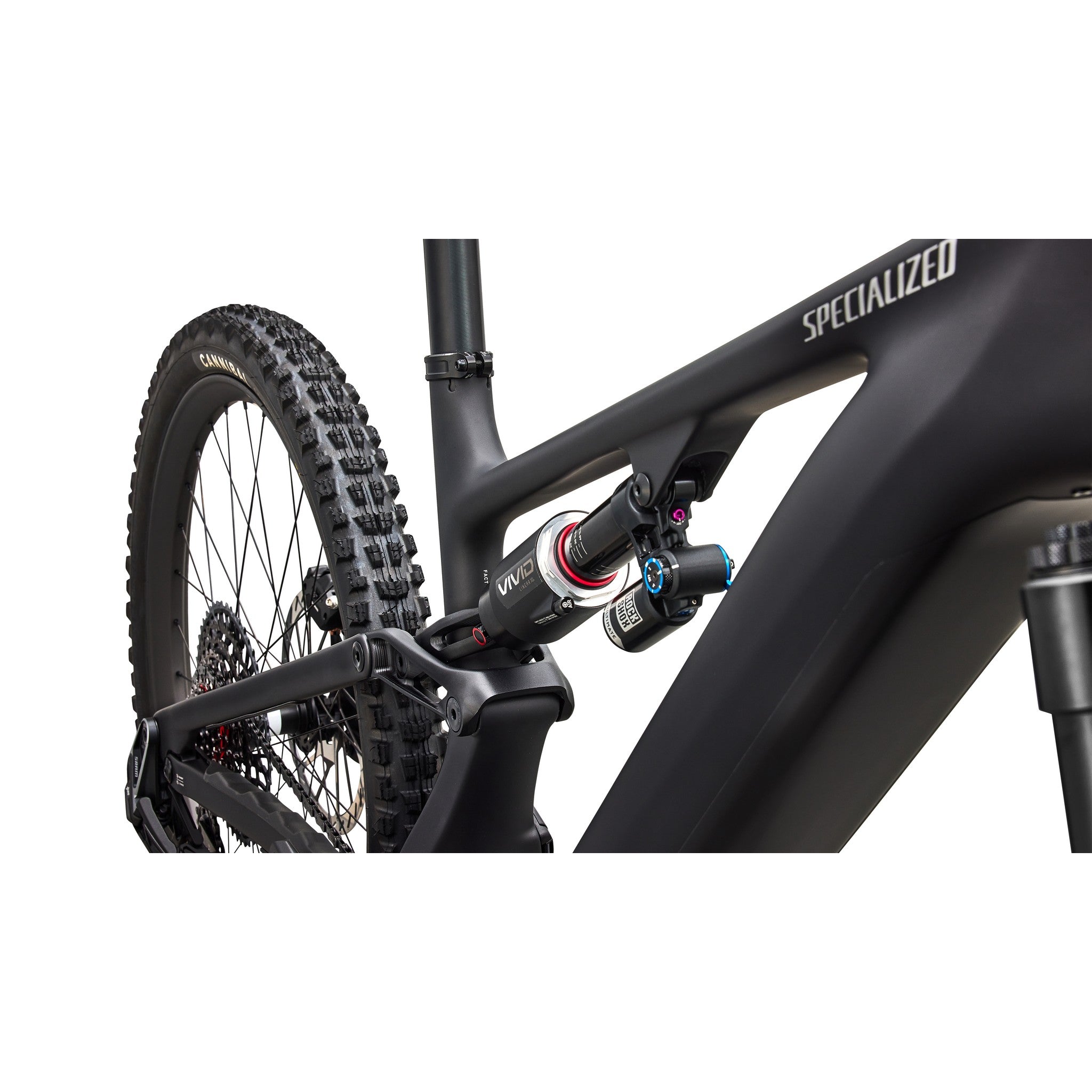 Specialized Levo 4 EVO Pro - Bicycle Warehouse