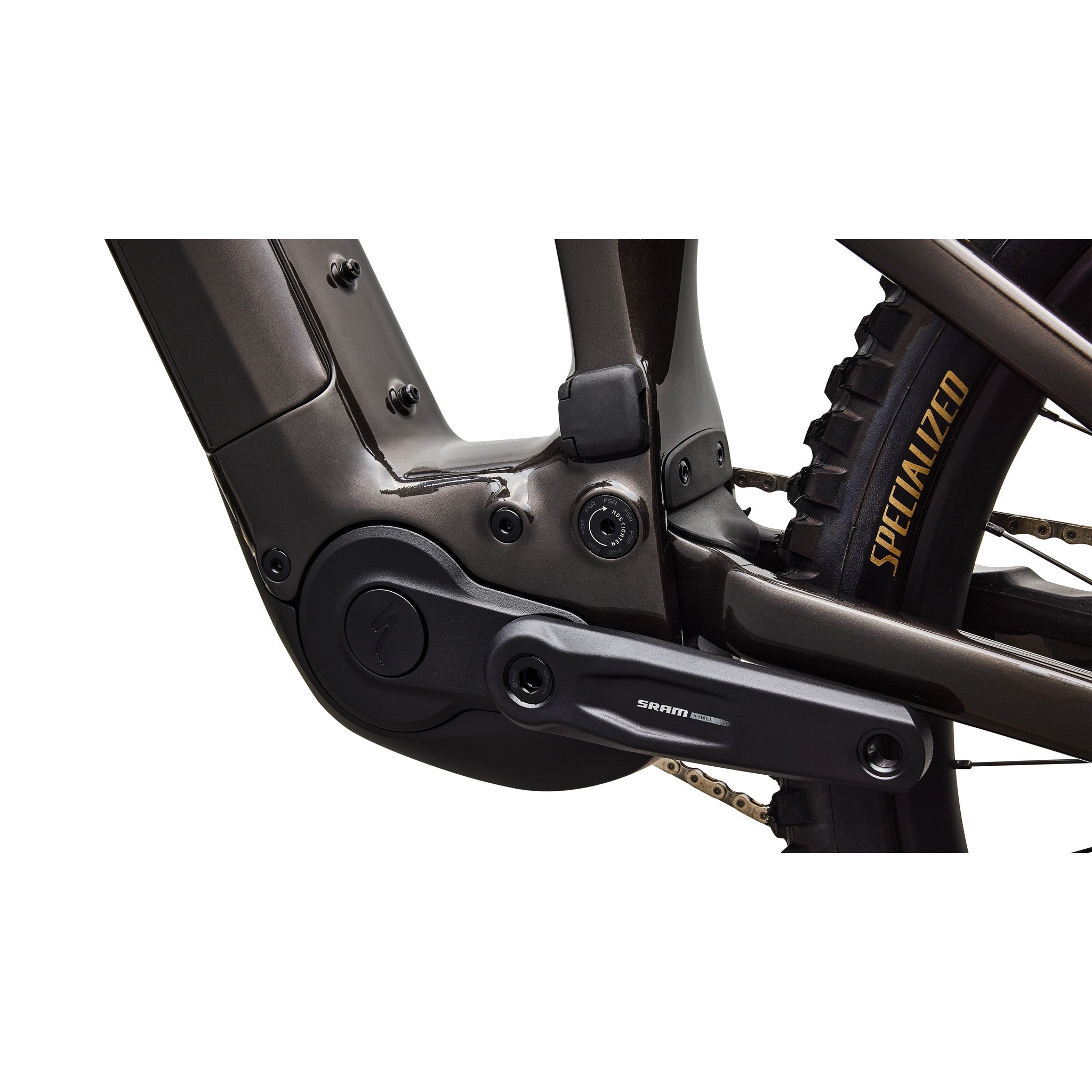 Specialized Levo 4 EVO Comp - Bicycle Warehouse
