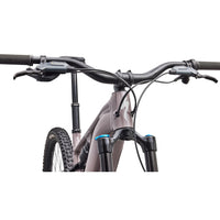 Turbo Levo 4 Comp Alloy (2027)
