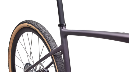 Diverge Expert AXS (2026)