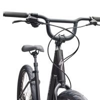Specialized Roll 3.0 Low Entry (2026) - Bicycle Warehouse