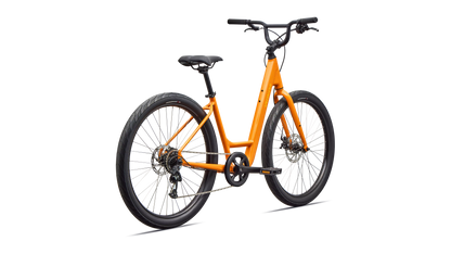 Roll 2.0 Low Entry (2026)