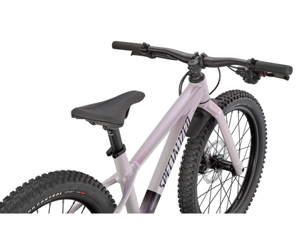 Riprock 20" Kids Mountain Bike