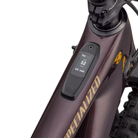 Specialized Turbo Levo SL 2 Öhlins Coil - Bicycle Warehouse