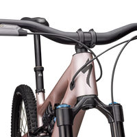Specialized Turbo Levo SL 2 Expert (2025) - Bicycle Warehouse