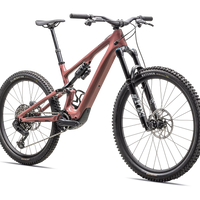 Specialized Turbo Levo SL 2 Comp - Bicycle Warehouse