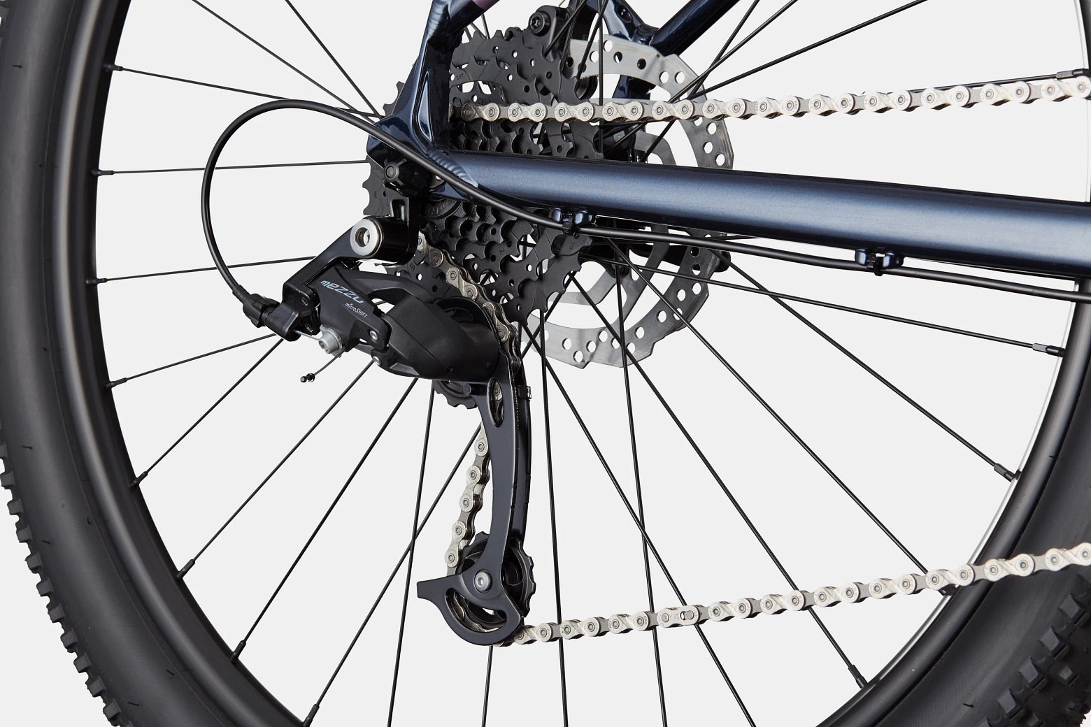 Cannondale Trail Women's 8 - Bicycle Warehouse