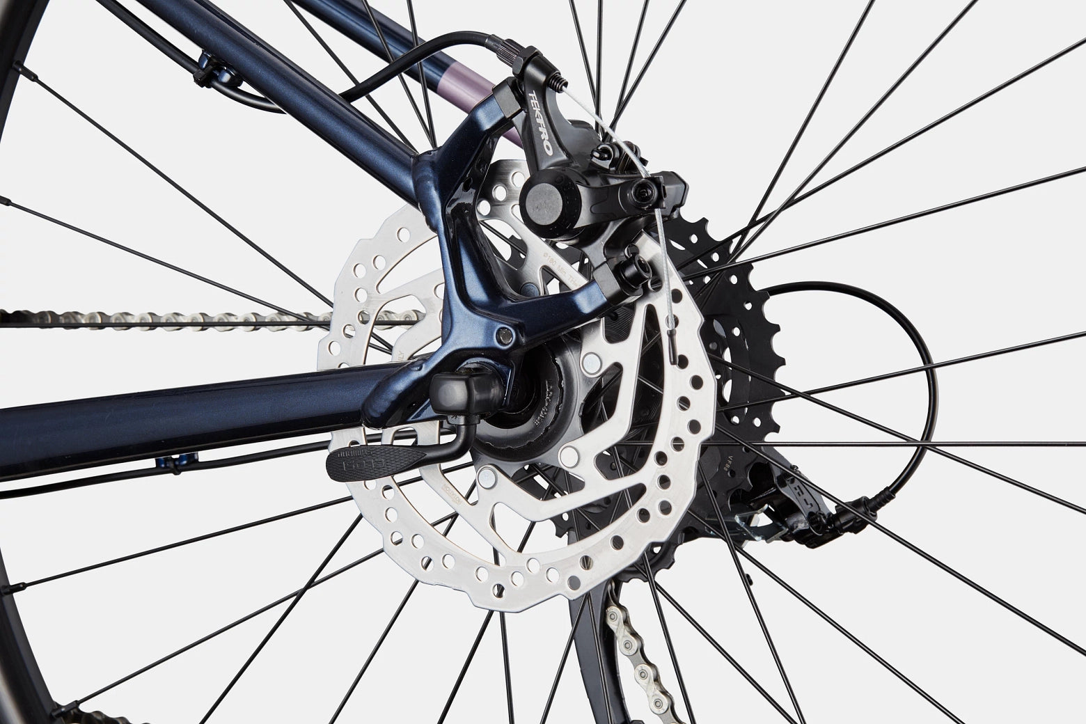 Cannondale Trail Women's 8 - Bicycle Warehouse