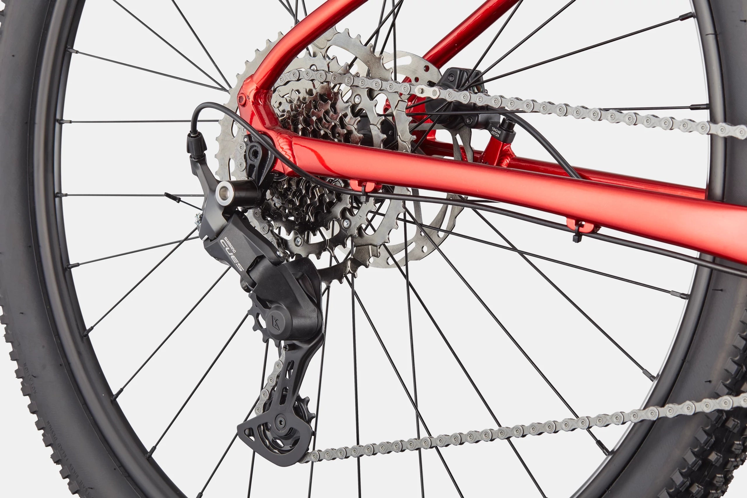 Cannondale Trail 2 - Bicycle Warehouse