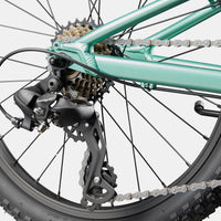 Kids trail bicycle drivetrain and rear sprocket with teal frame