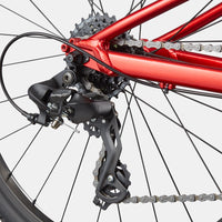Kids bike drivetrain close-up with chain, gears, and rear derailleur