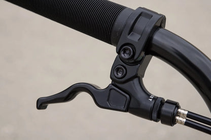 Sunday Primer BMX Bike - 20.5" TT Matte Ice Green - Bicycle Warehouse