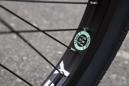 Forecaster - Brett Silva Signature (Matte Sage Green with 20.75" tt)