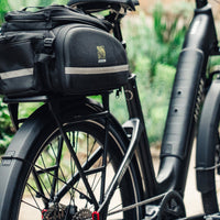 Aventon Level 4 ADV Step-Through Ebike - Bicycle Warehouse