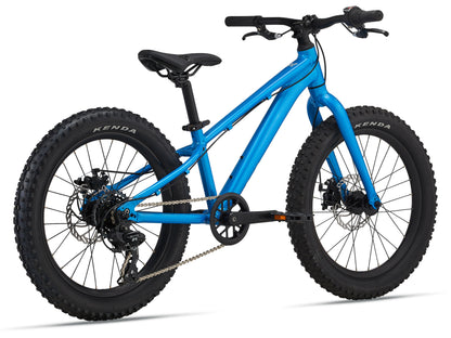 STP 20 Girls BIke - Bicycle Warehouse