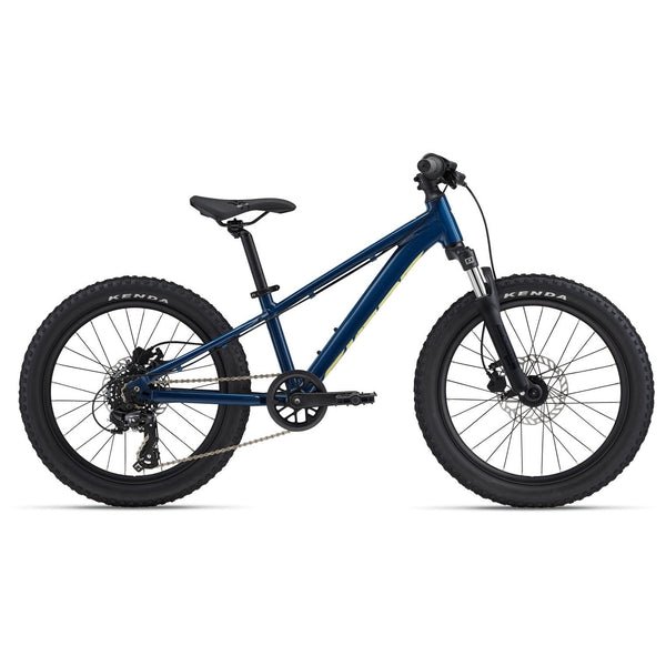 Giant STP 20 FS Kids Bike – Bicycle Warehouse