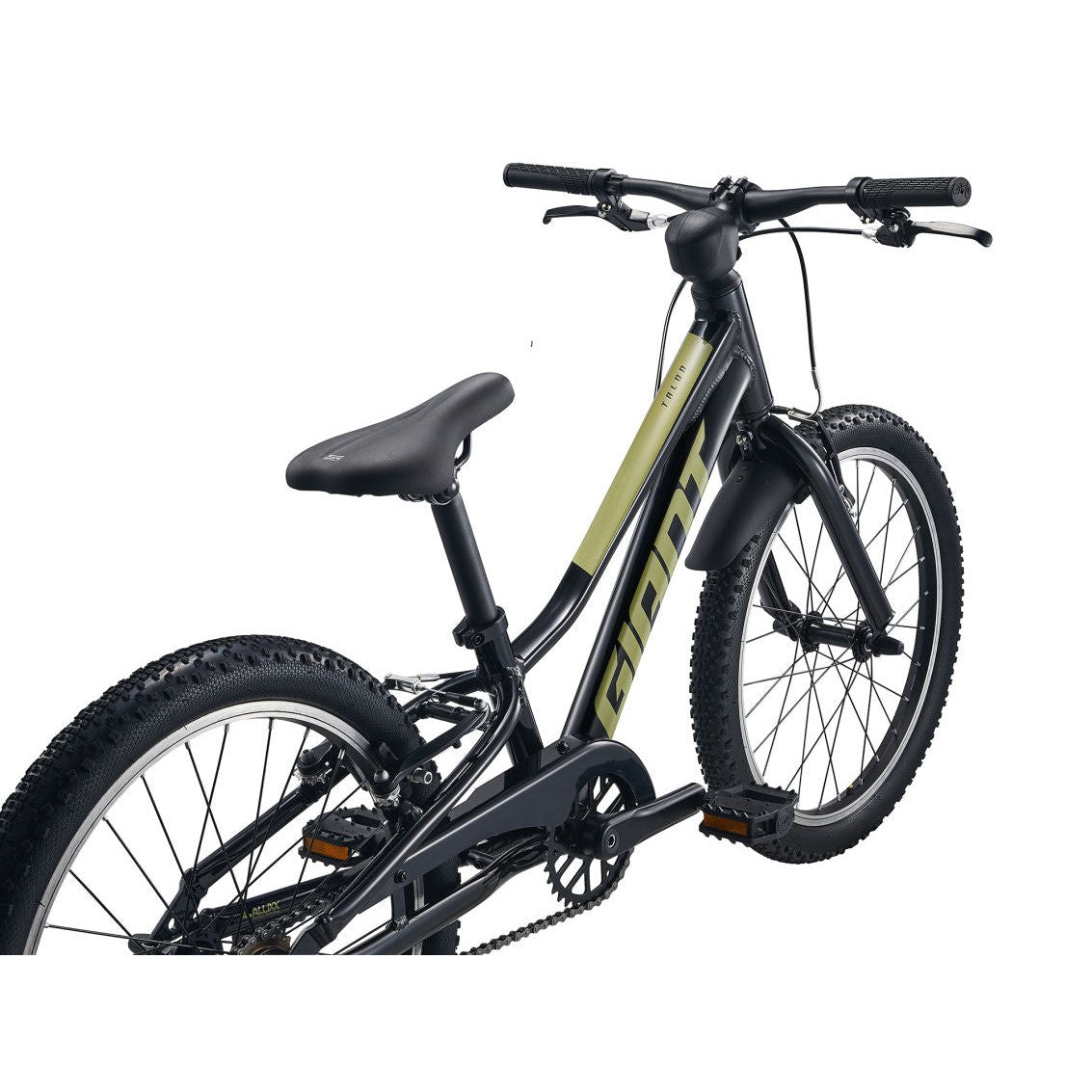 Giant boys mountain online bike