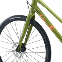 Liv Alight Stagger 4 - Bicycle Warehouse