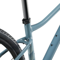 Liv Rove 2 - Bicycle Warehouse