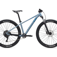 Liv Tempt 2 - Bicycle Warehouse