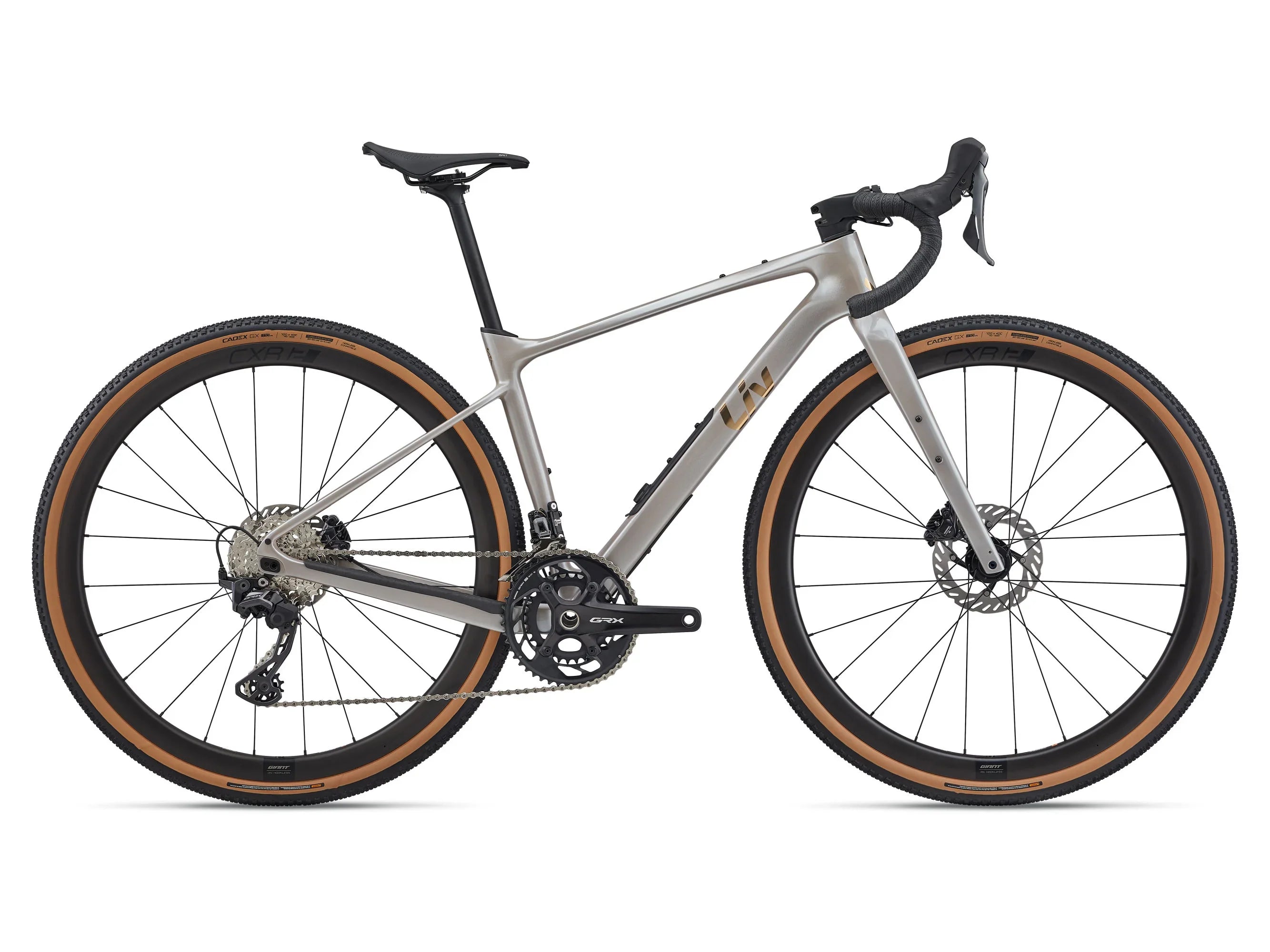 Devote Advanced 0 (2026)