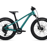Giant STP 20 FS - Bicycle Warehouse