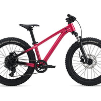 Liv STP 20 FS - Bicycle Warehouse