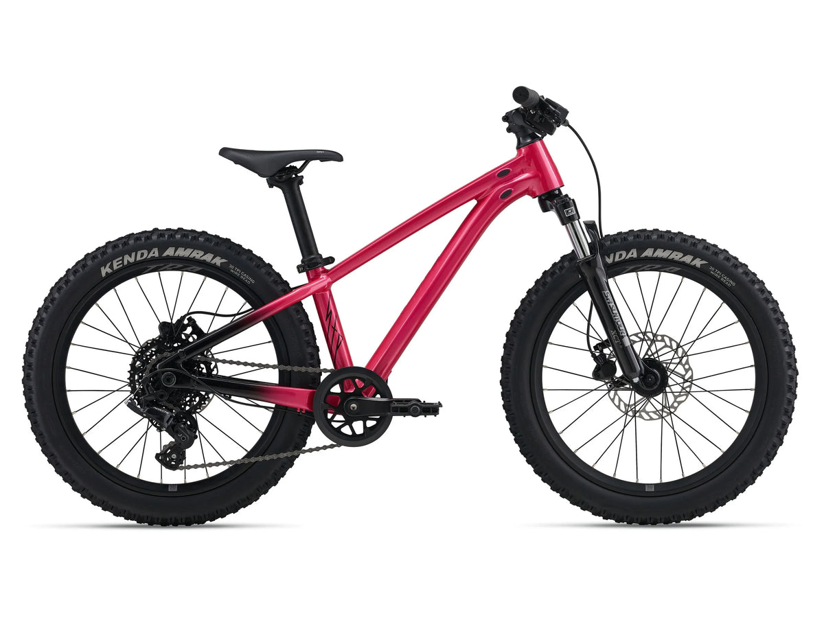 Liv STP 20 FS - Bicycle Warehouse