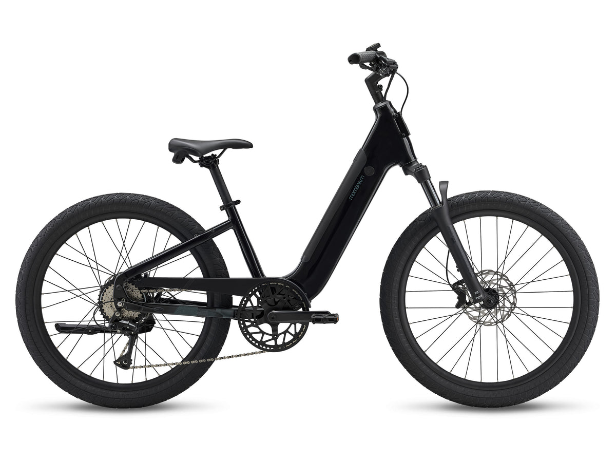 Momentum Vida E+ - Bicycle Warehouse