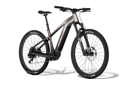 Ramblas ADV Ebike