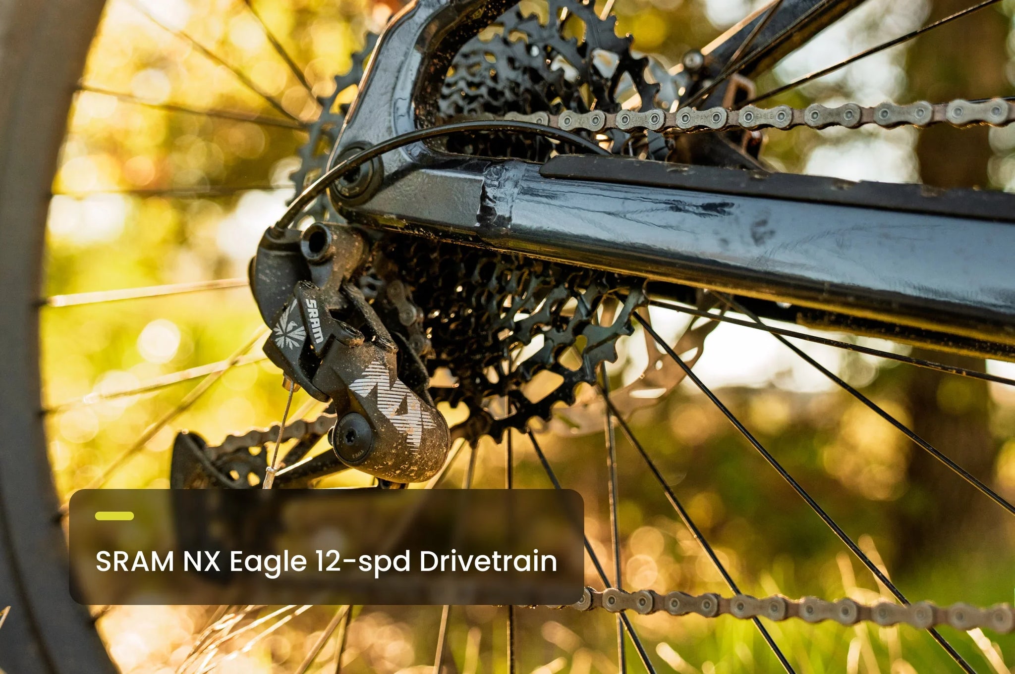 Aventon Ramblas ADV Ebike - Bicycle Warehouse