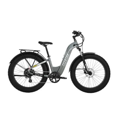 Aventon Aventure.2 Step Through E-Bike - Bikes - E-Hybrid - Bicycle Warehouse