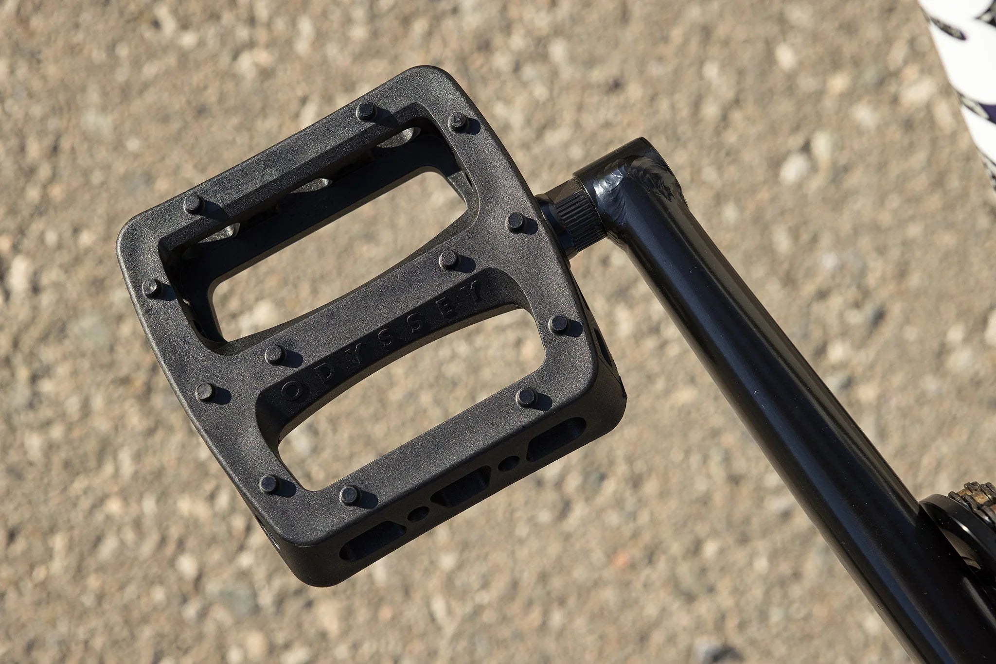 Sunday Darkwave - Broc Raiford Authentic (Matte Midnight Purple with 21