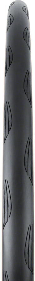 Grand Prix TR 700c Tire - Tubeless BLK/Transparent BLKChili - Bicycle Warehouse