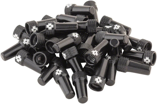Tubeless Valve Box Refill - Black Cap Pack of 40 - Bicycle Warehouse