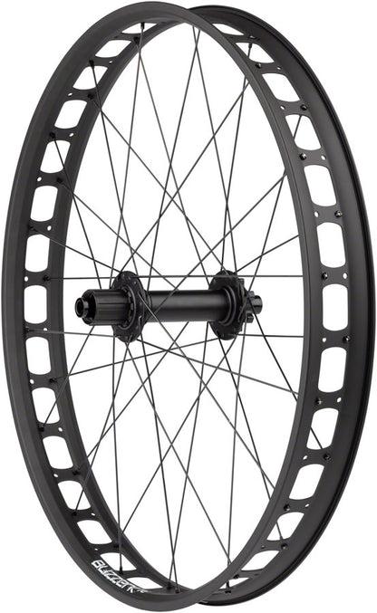 Bear Pawls / Blizzerk Rear Wheel - 26" Fat 12 x 197mm 6-Bolt HG 11 BLK - Bicycle Warehouse