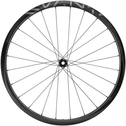 Levante Front Wheel - 700 12 x 100mm CenterLock Black - Bicycle Warehouse