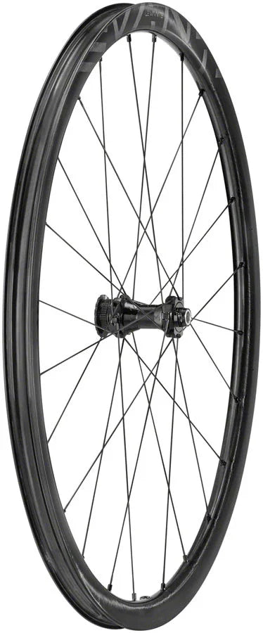 Levante Front Wheel - 700 12 x 100mm CenterLock Black - Bicycle Warehouse