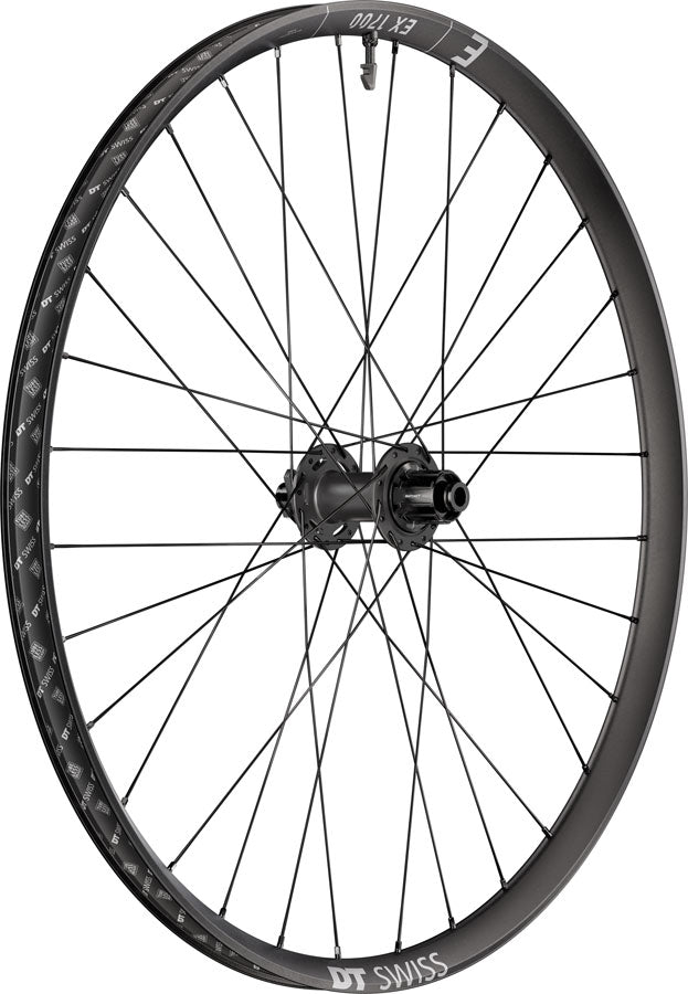DT Swiss EX 1700 Classic 30 Rear Wheel - 29" 12 x 148mm 6-Bolt HG Slim DEG 72 DF BLK