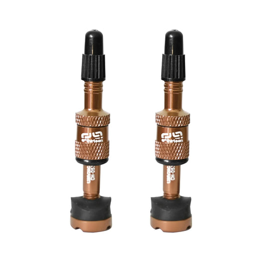 Quick Fill Tire Plasma Valves(19-23mm Rim) Pair - Brz - Bicycle Warehouse