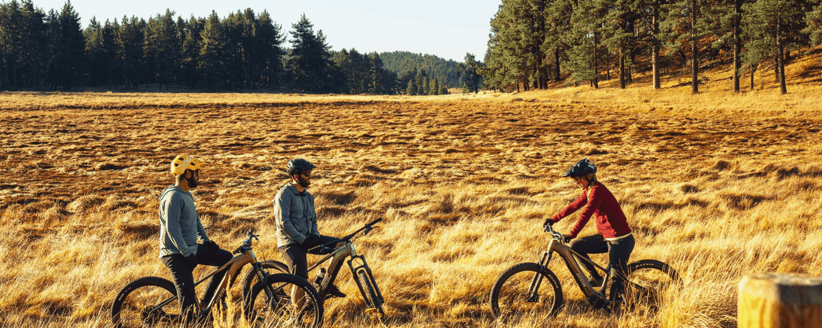 Fall Bicycle Sale