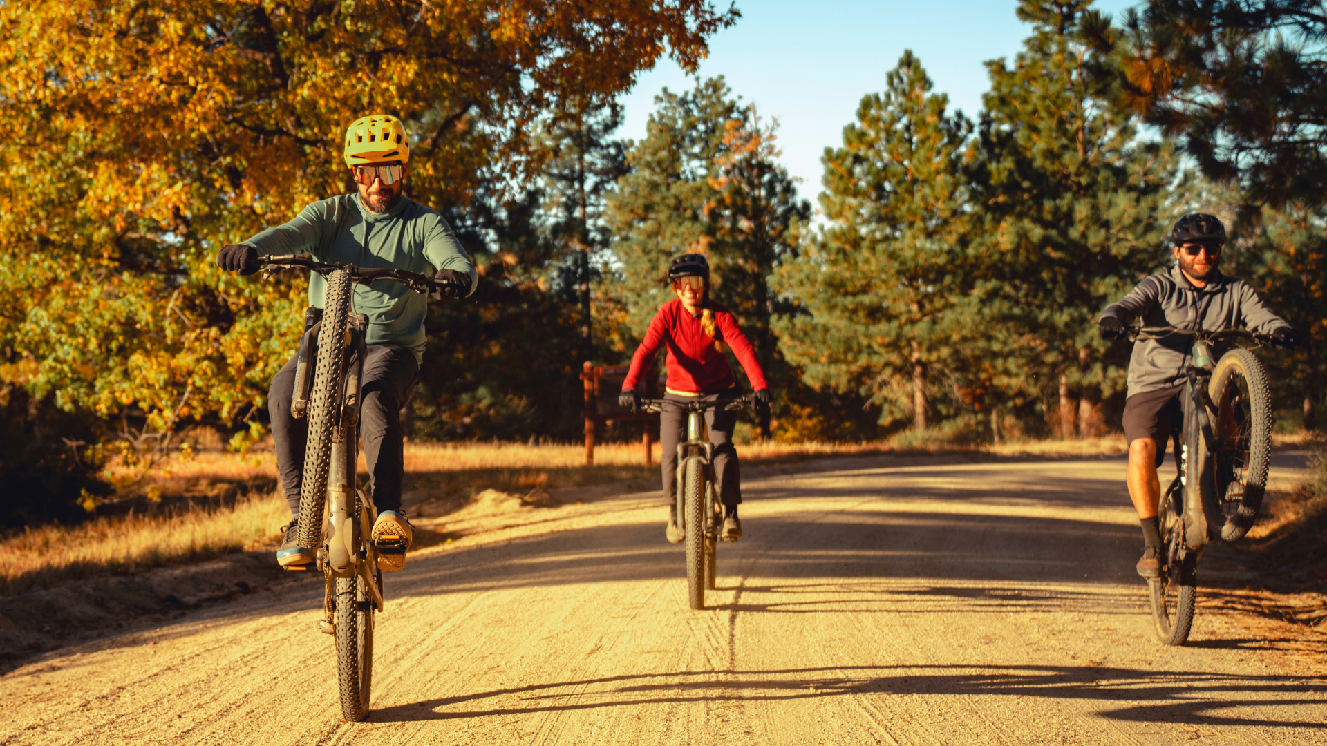 Featured Bicycle Warehouse bike shop customer reviews