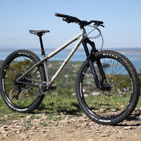Elevator 29" Hardtail (2025) - Bicycle Warehouse