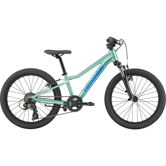 Kids 20-inch trail bike, mint green frame with black wheels and front suspension